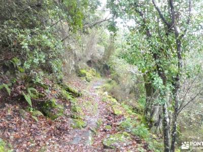 Ribeira Sacra-Cañón y Riberas del Sil; programas de viajes ruta 7 picos pantano de picadas monasteri